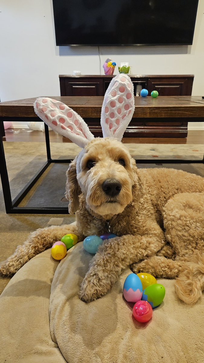 Wishing you all a blessed Easter!