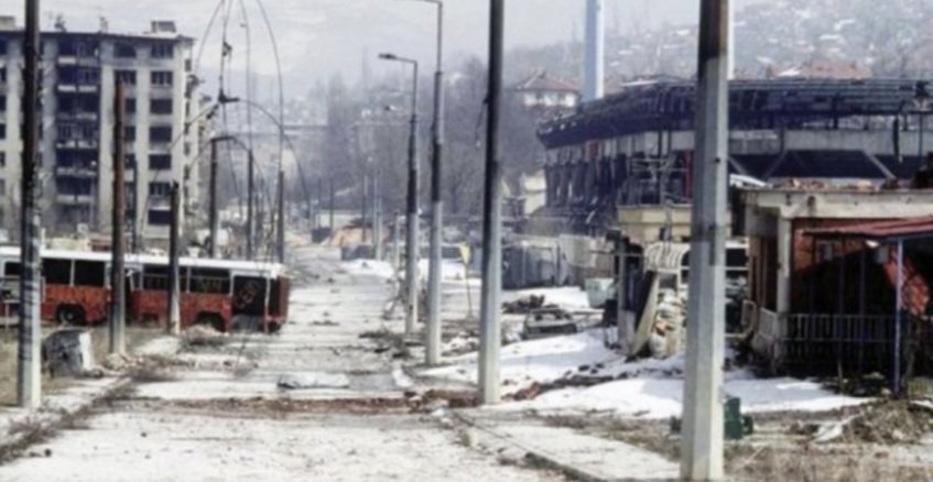 Vesna Rajnović 🌿 tweet media