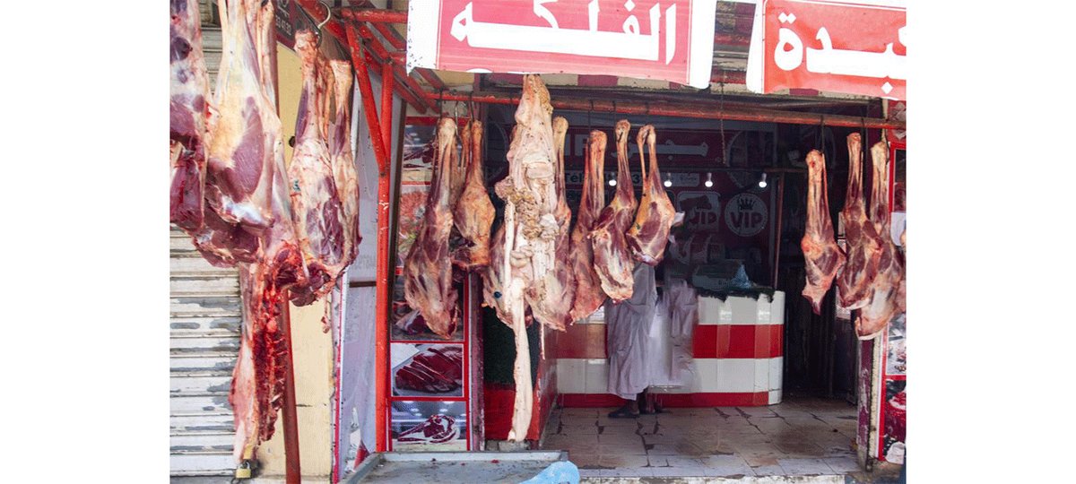 لوريندا محمد tweet media