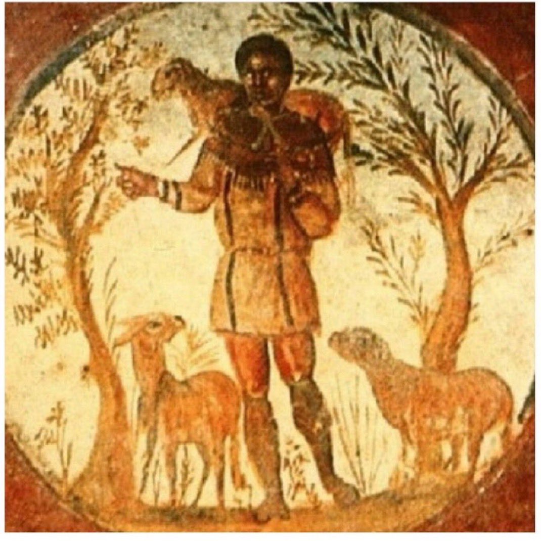 BigCoop3 tweet media