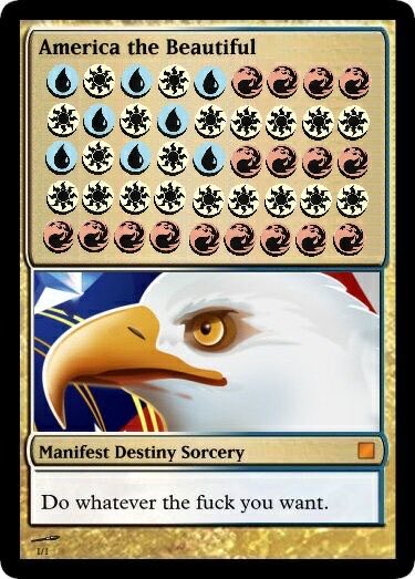 Cathartes aura tweet media