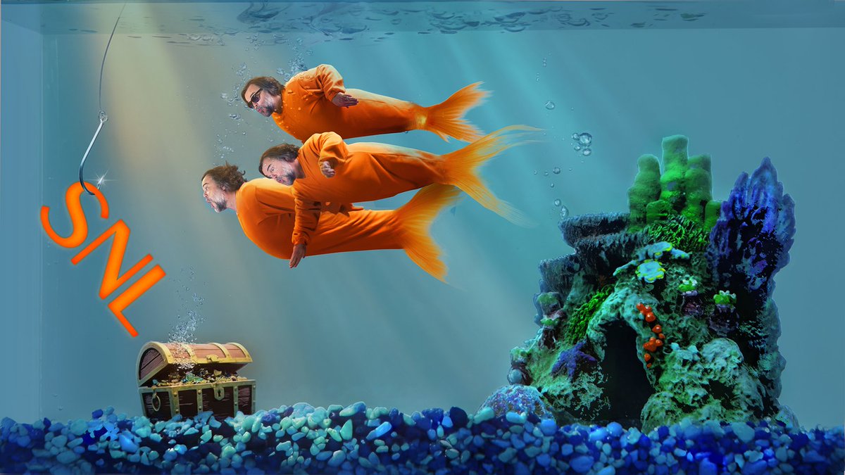 Saturday Night Live tweet media