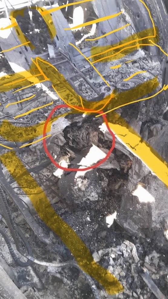 BIll GUAN tweet media