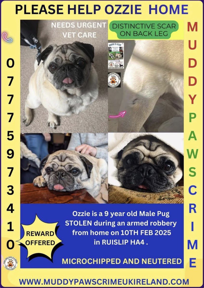 Claire Crew tweet media