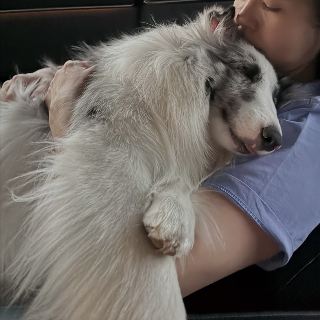 𝑎𝑑𝑜𝑟𝑎𝑏𝑙𝑒 𝑝 🎀 ˚ ༘♡ tweet media