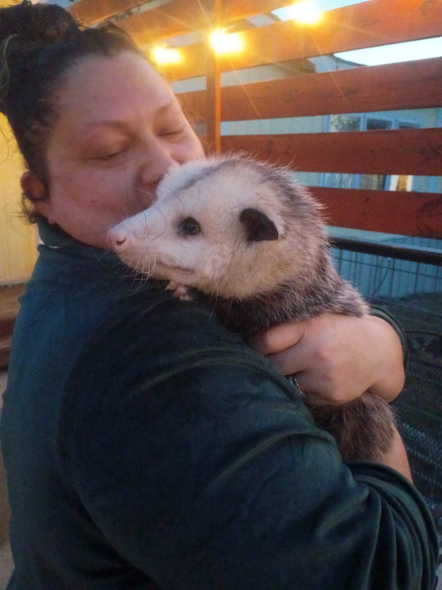 BuffaloRon tweet media