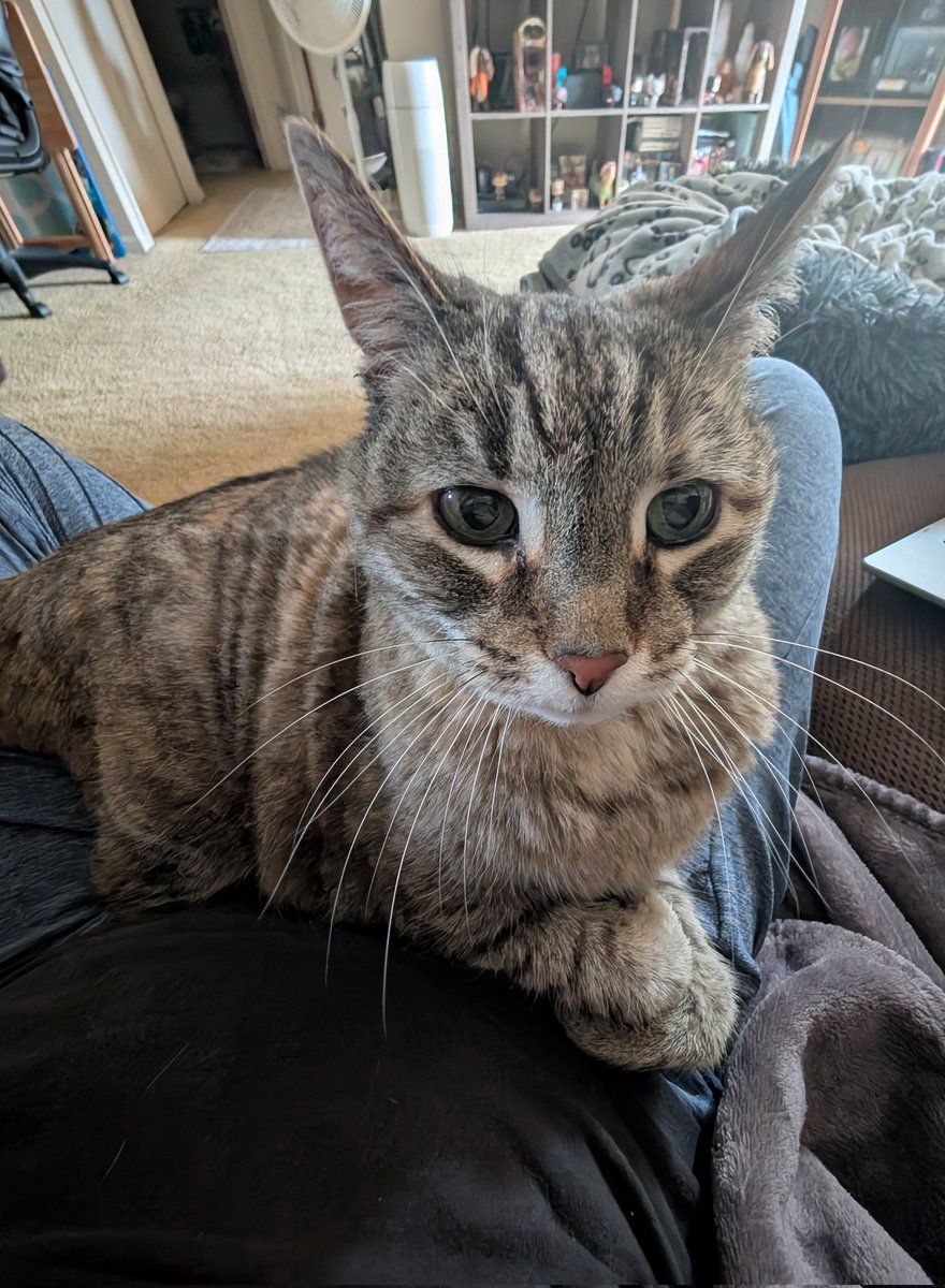 hazel 𖹭 tweet media