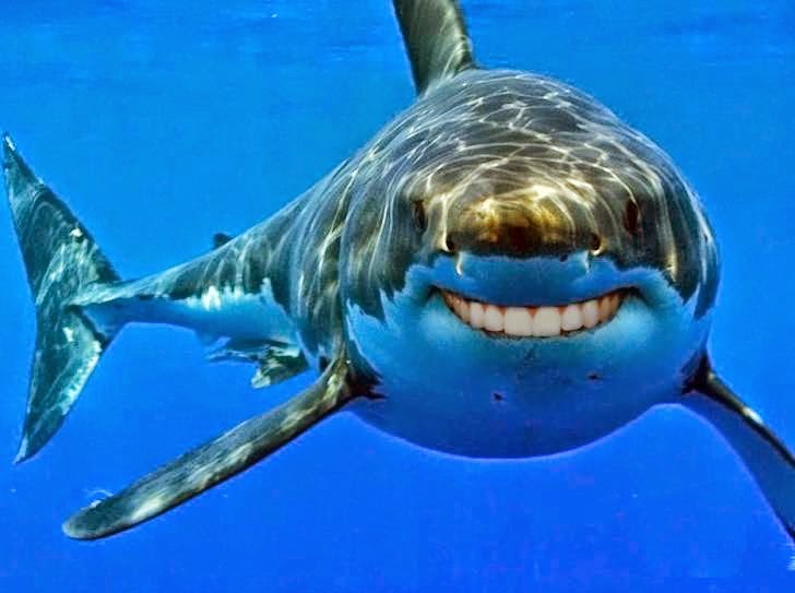 زهرة مش زهرا tweet media