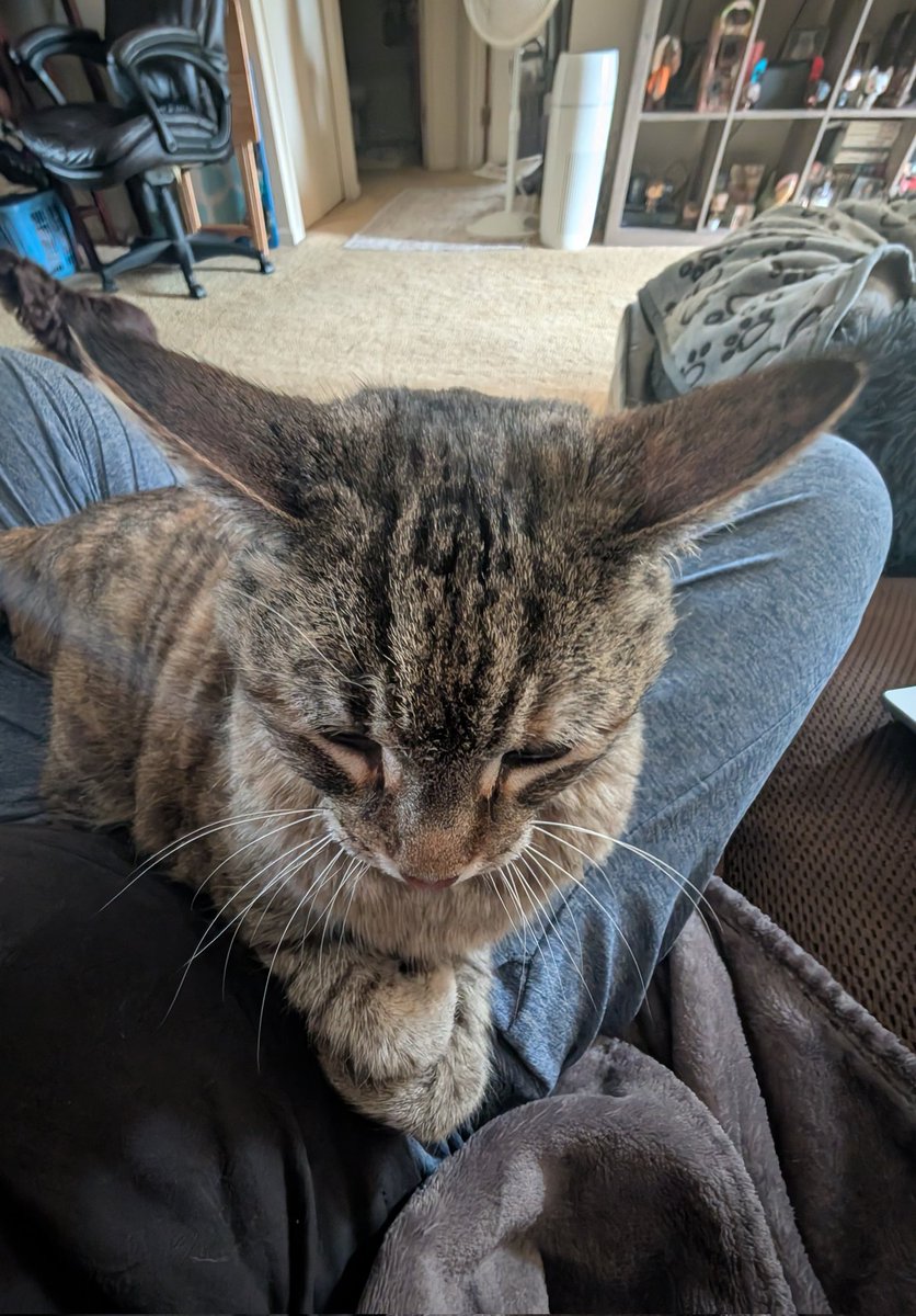 hazel 𖹭 tweet media