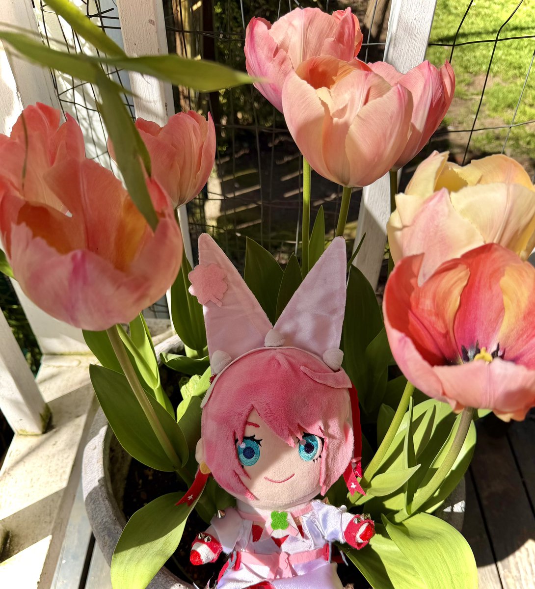 ✨💖HeavenLEE💖✨ tweet media