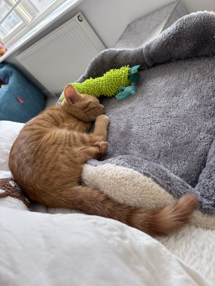 Когда шел в свою кроватку, но устал так, что уснул на полпути