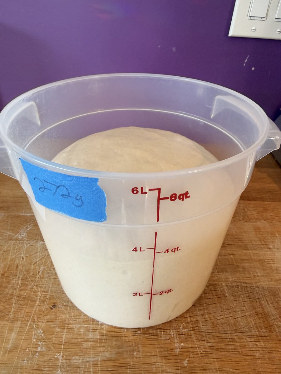 a real person tweet media