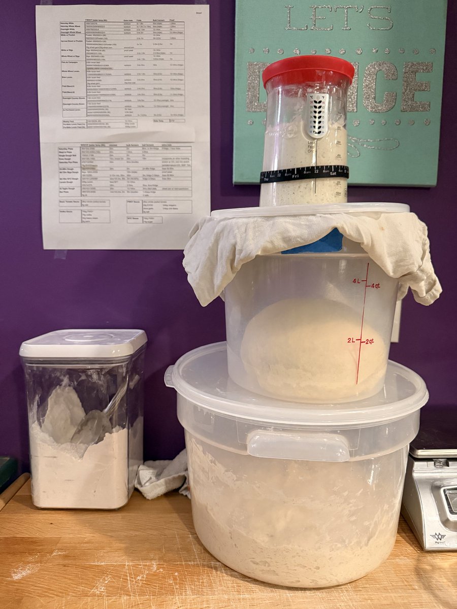 a real person tweet media