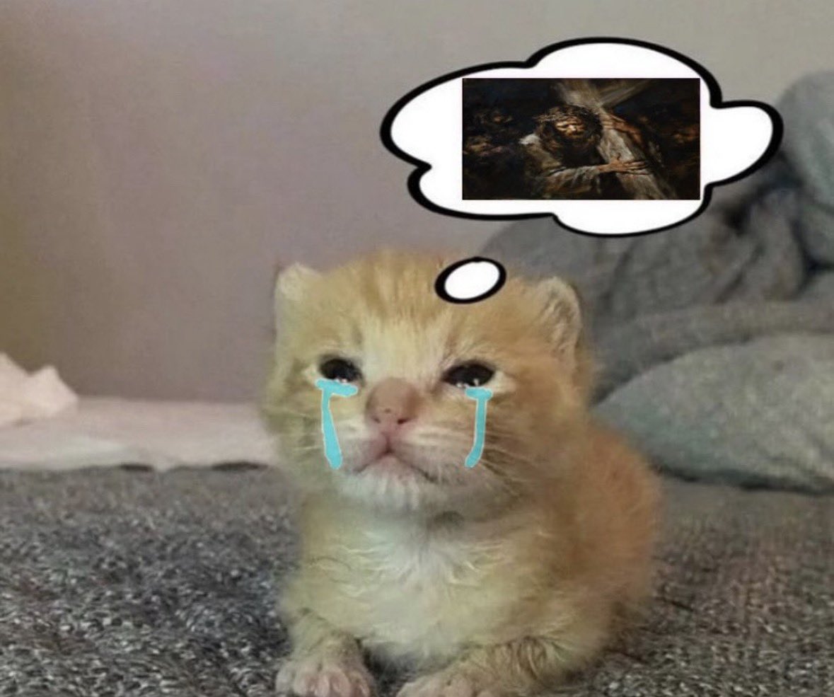 LiterallyMeCats tweet media