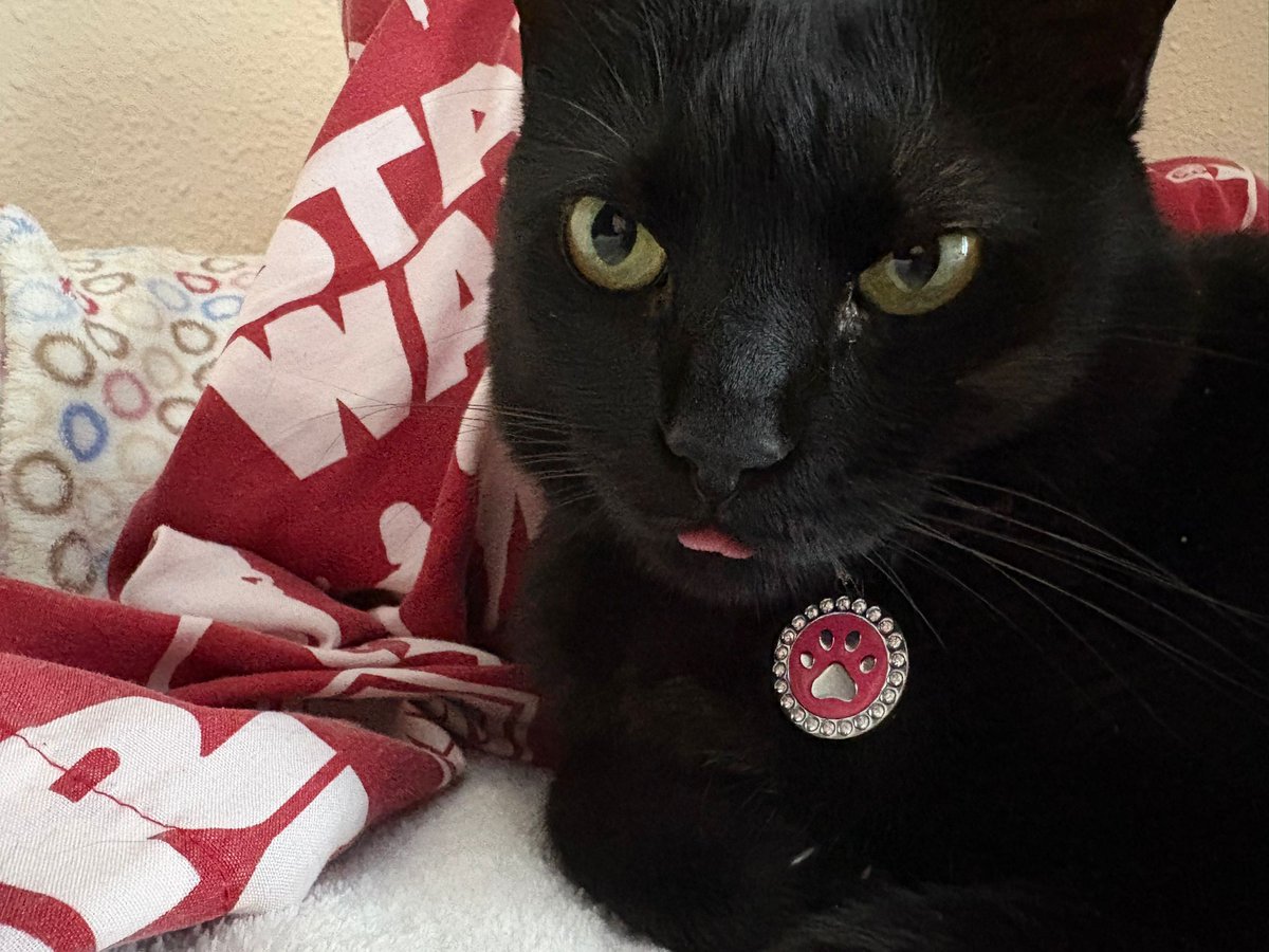 carlita ♡°•*° tweet media