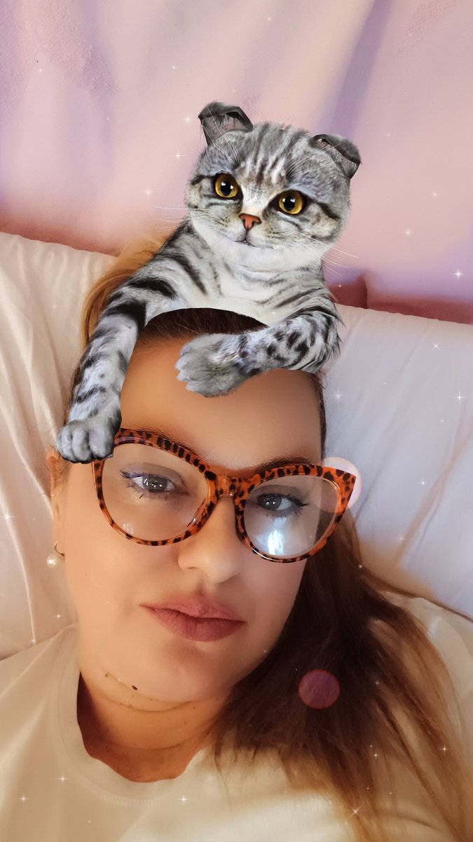 Smaksveta nisam nadležan tweet media