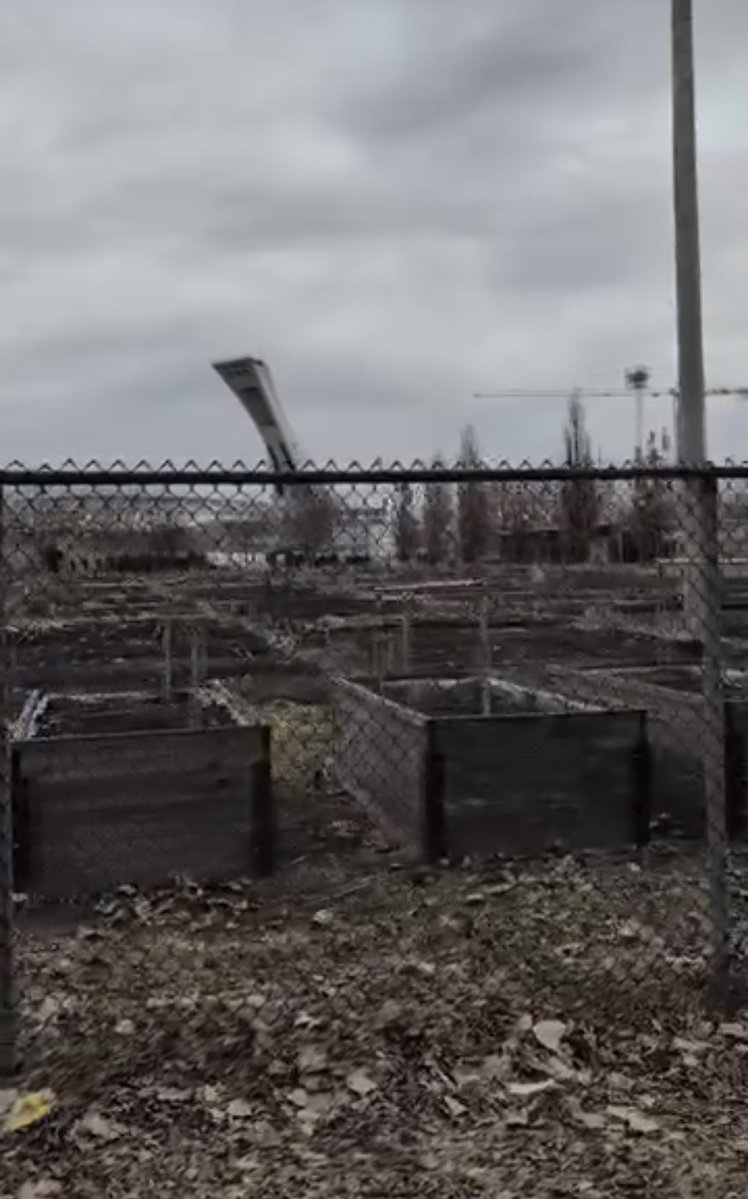 breadloaf 🛤️ tweet media