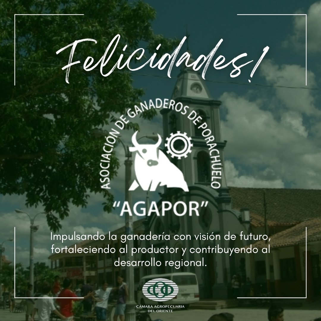 CAO Bolivia tweet media