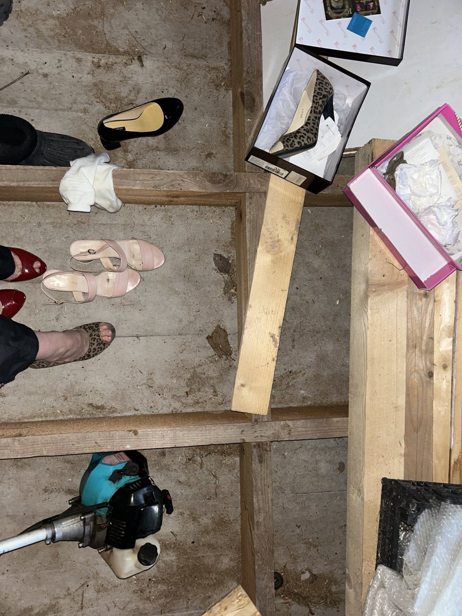 диана, если что tweet media