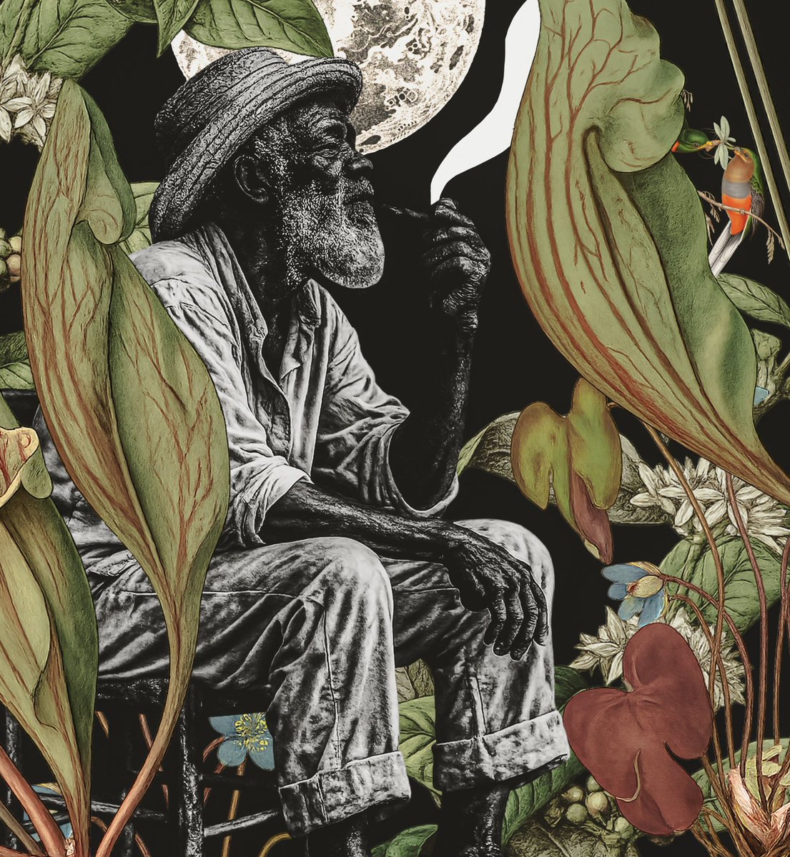 thais silva tweet media