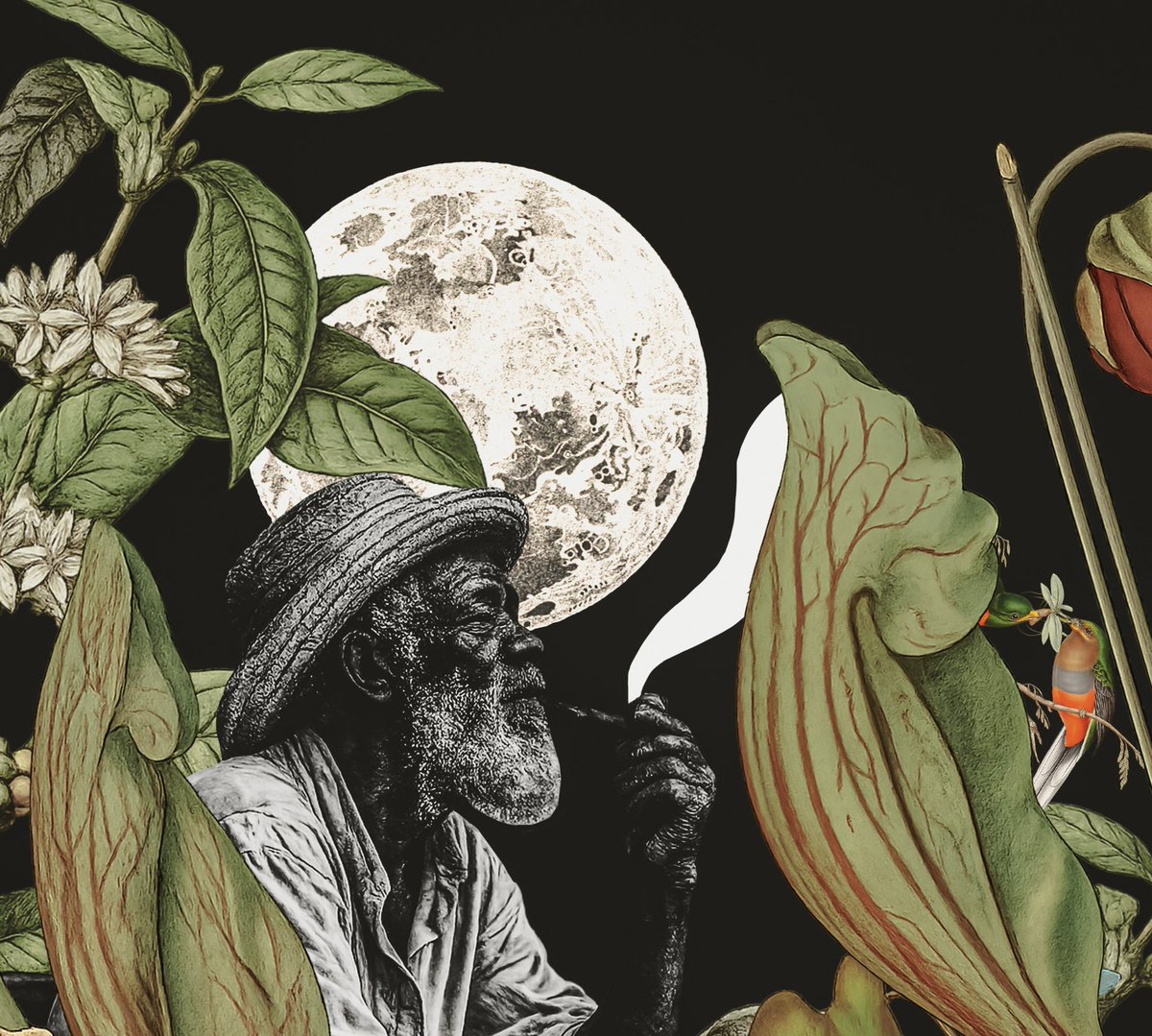 thais silva tweet media