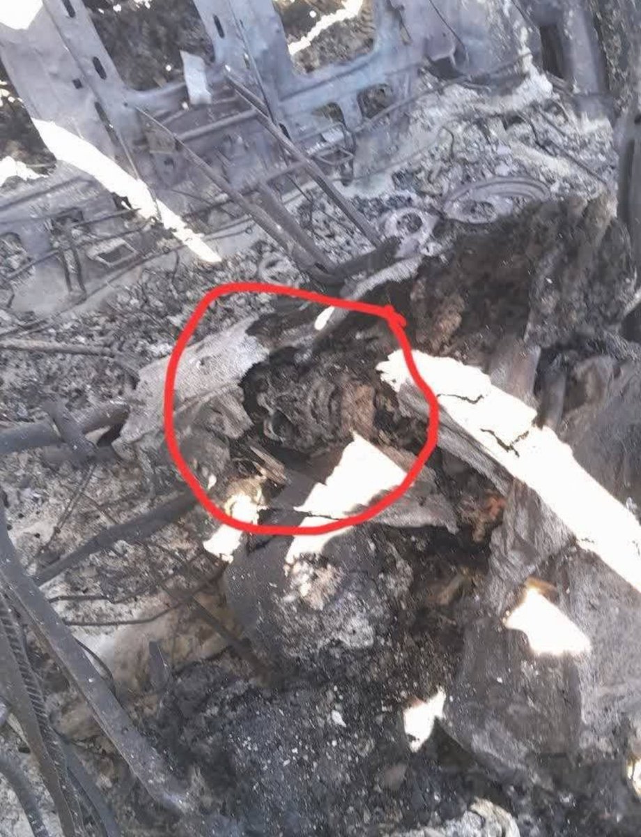 Robin Monotti tweet media