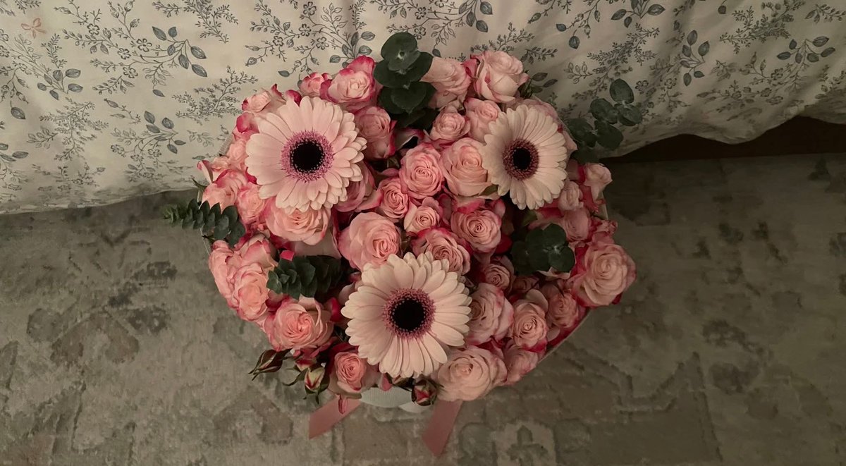 فُصحى . tweet media