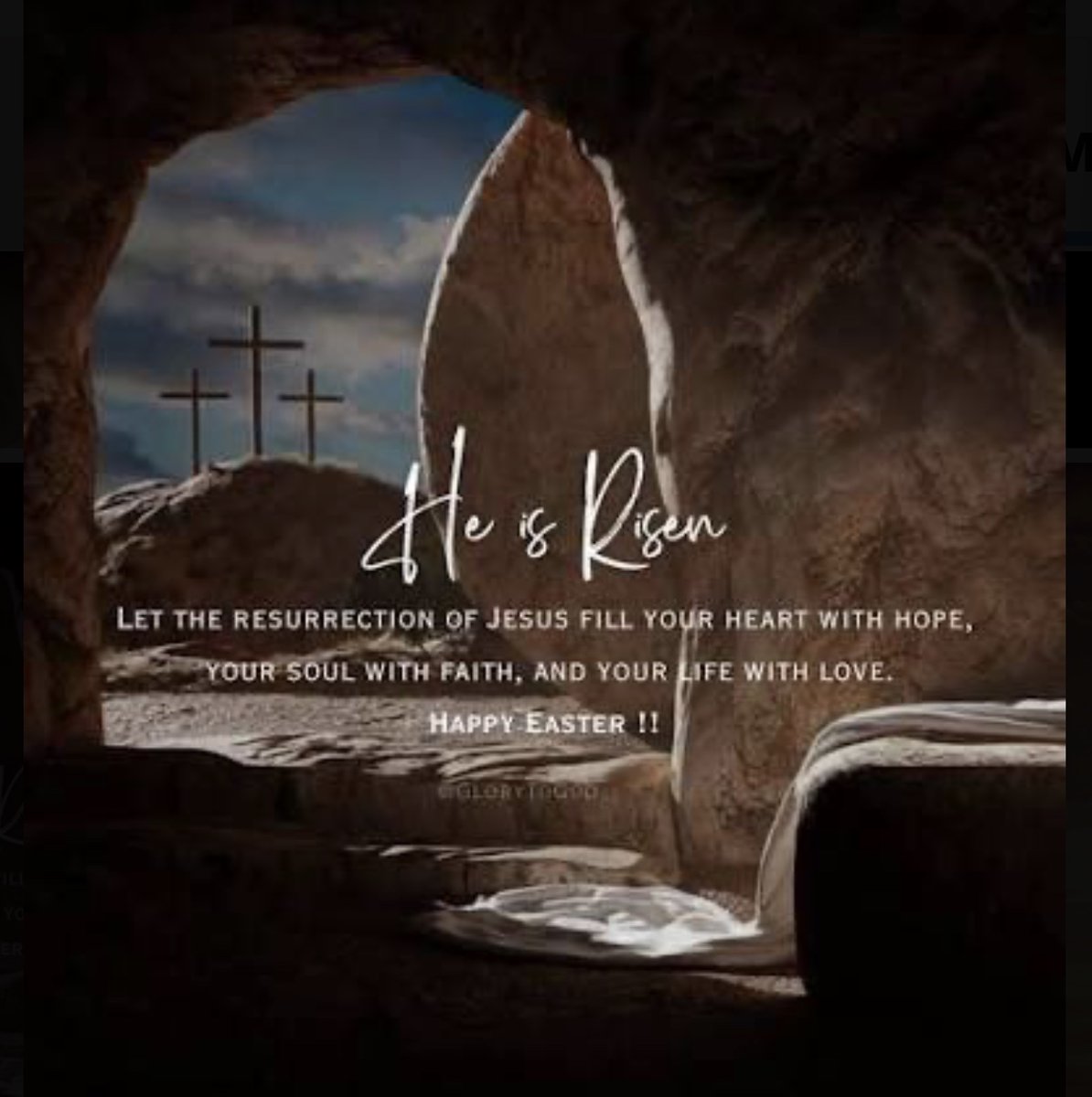 Michele Brookman tweet media