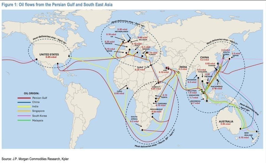 THE SHORT BEAR tweet media