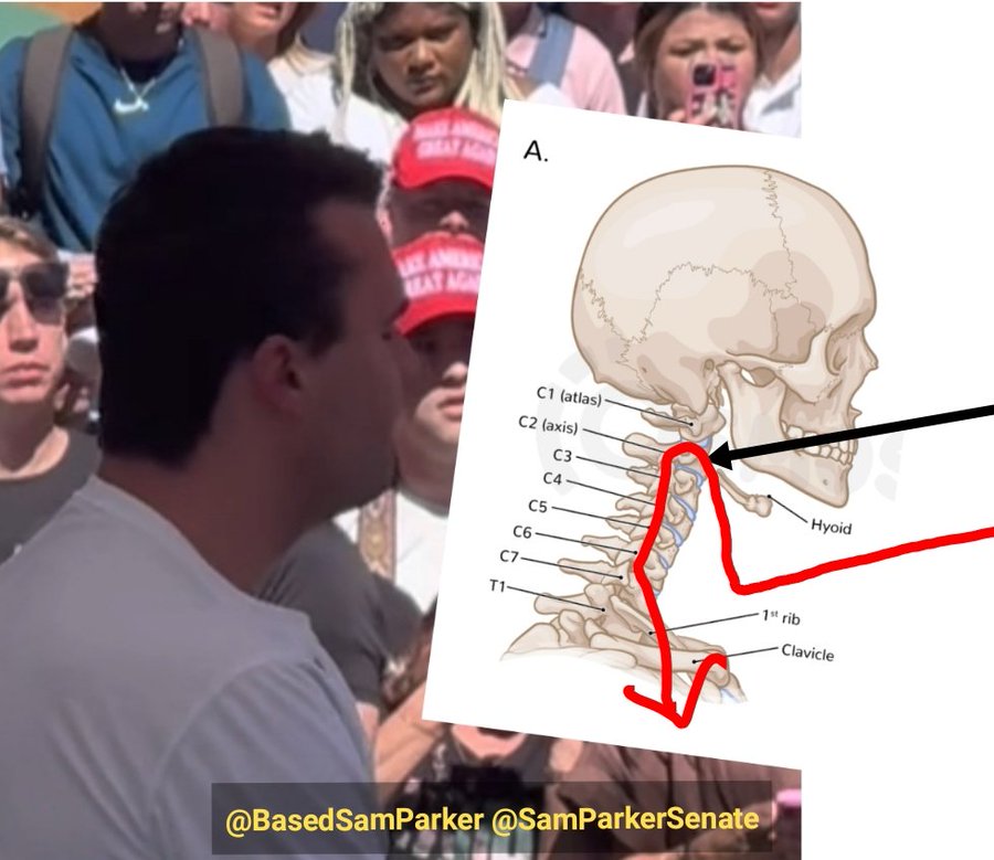 Sam Parker 🇺🇸🧯 tweet media