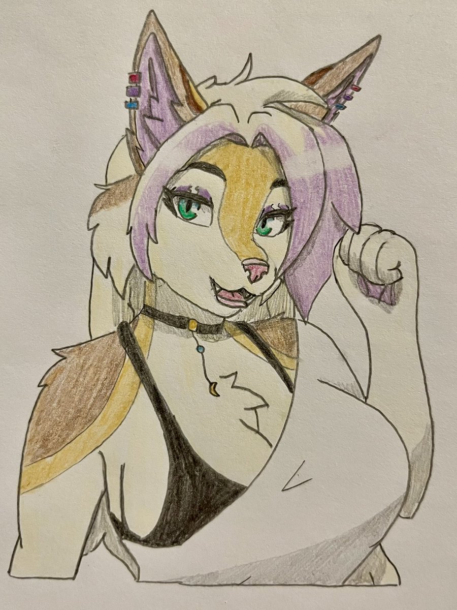 Foxe art tweet media