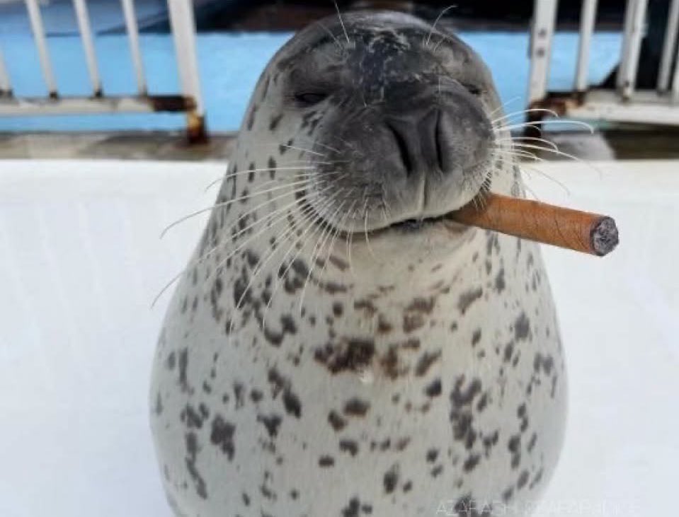 yuvie 🎀༘⋆ COMMS OPEN tweet media