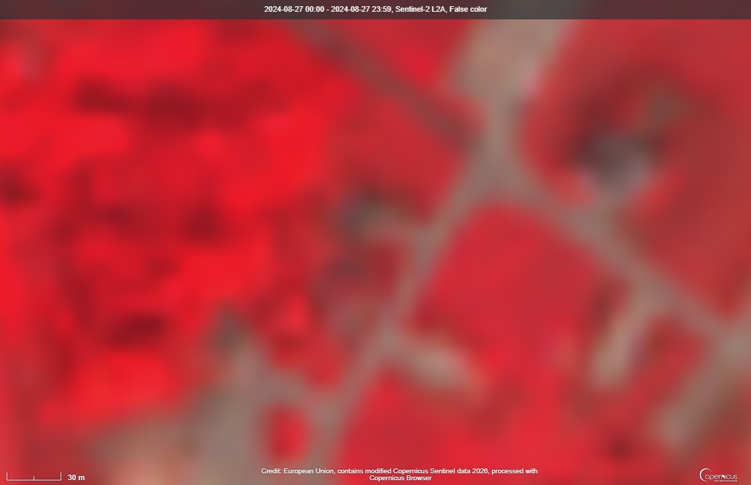 The Military Watch tweet media