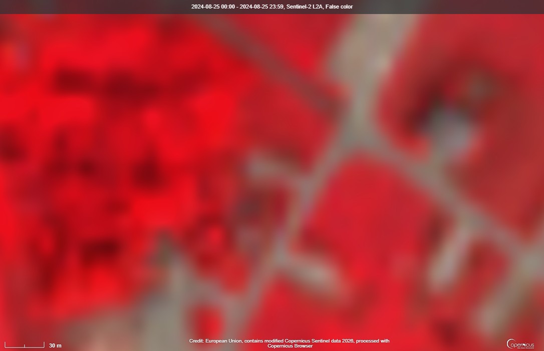 The Military Watch tweet media