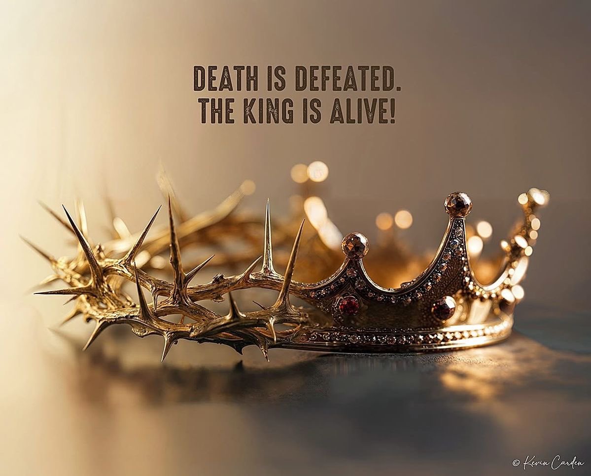 Sarah Sizzle tweet media