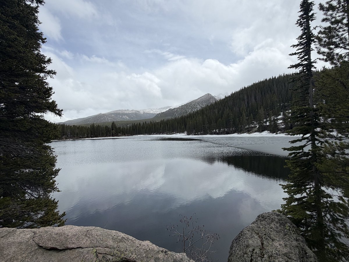 Douger T Washington tweet media