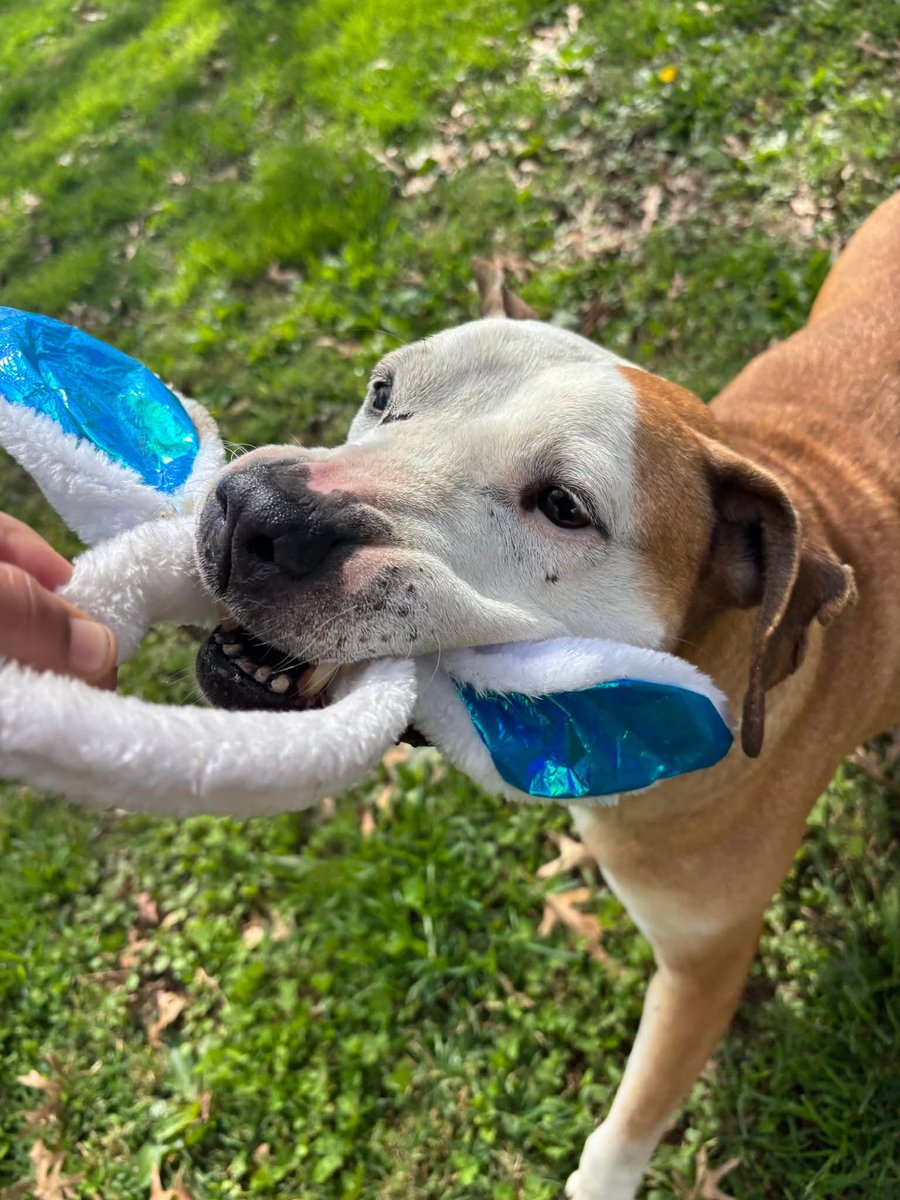 Happy Easter! #Easter