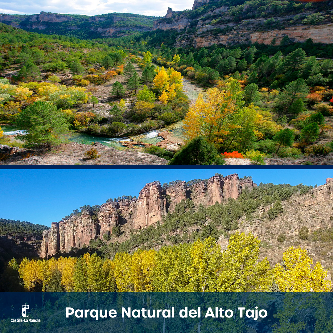 Gobierno de Castilla-La Mancha tweet media