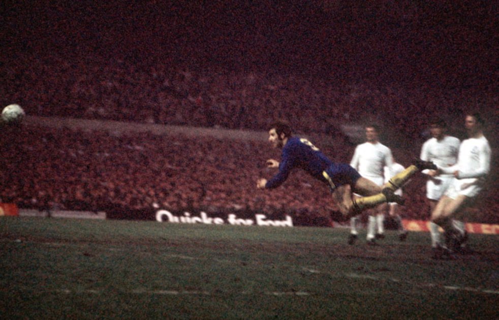 ⭐️⭐️ tweet media