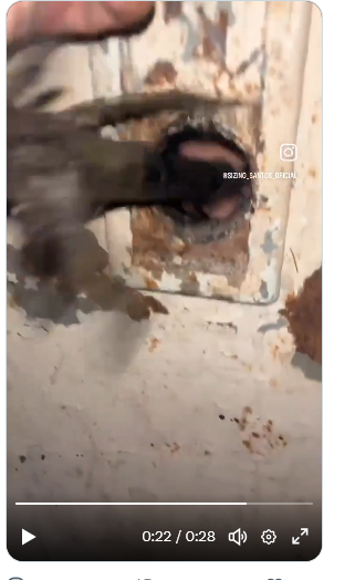 viviane Brandão tweet media