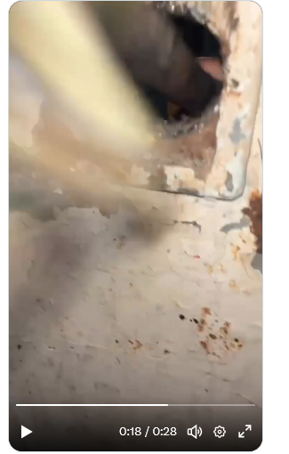 viviane Brandão tweet media