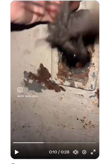 viviane Brandão tweet media