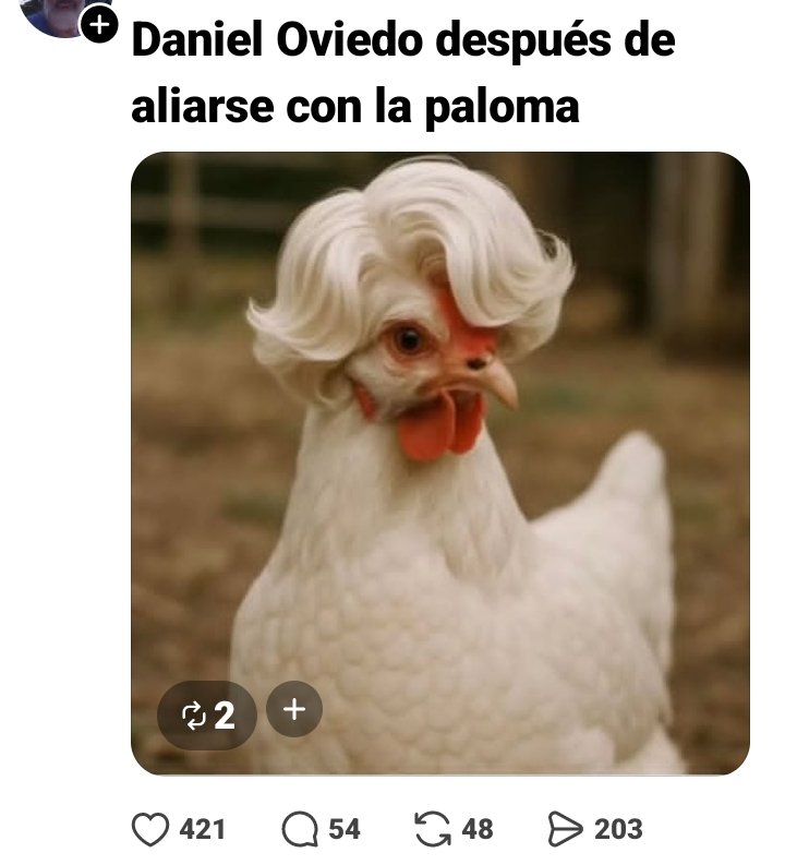 Yeyo Bermack tweet media