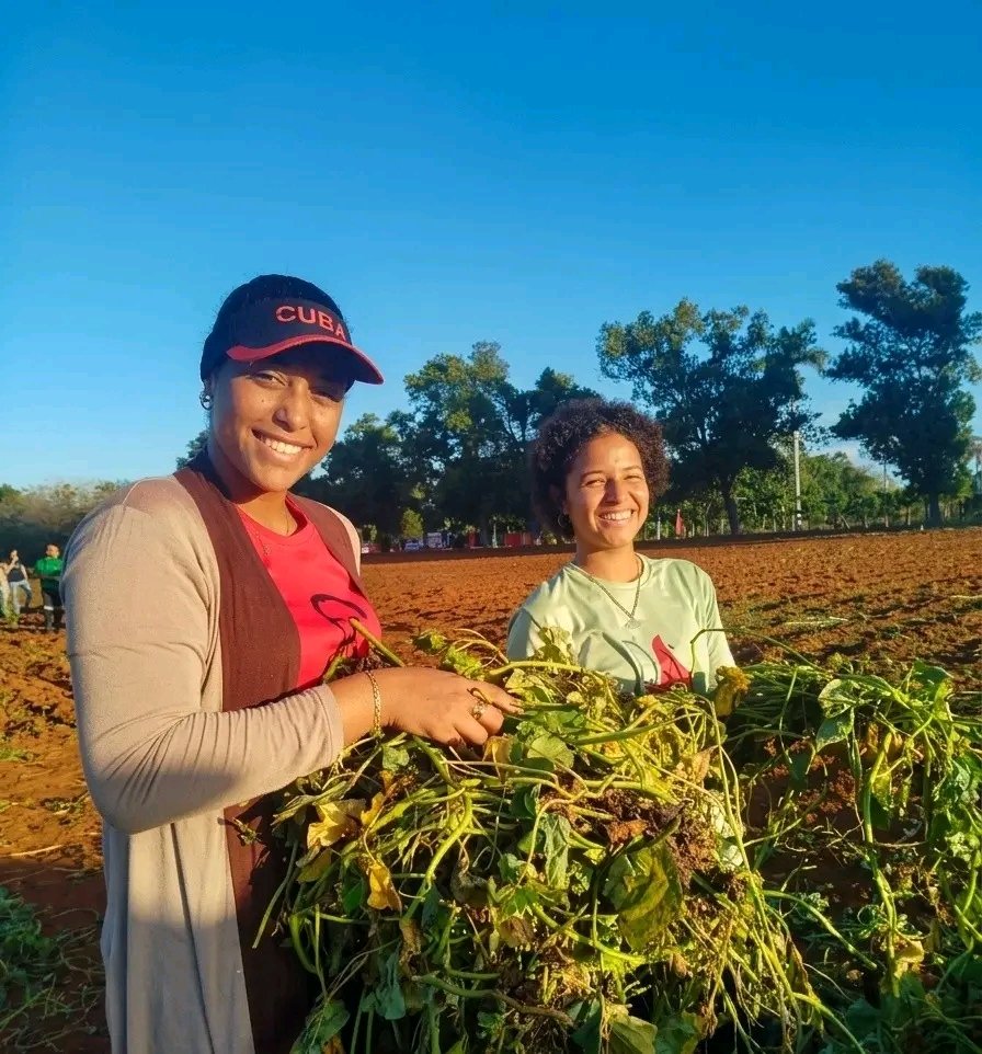 UJC de Cuba tweet media