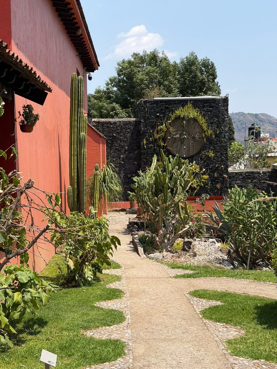 Paty Zarza tweet media