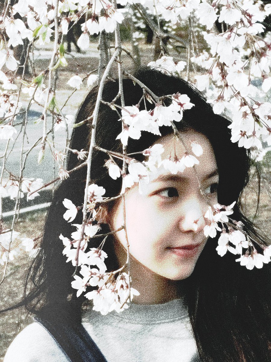 ᅟ𝑎𝑝𝑜𝑡𝑒𝑜́𝑡𝑖𝑐𝑎、ᅟ𝑛𝑎𝑜𝑚𝑖.ᅟ tweet media