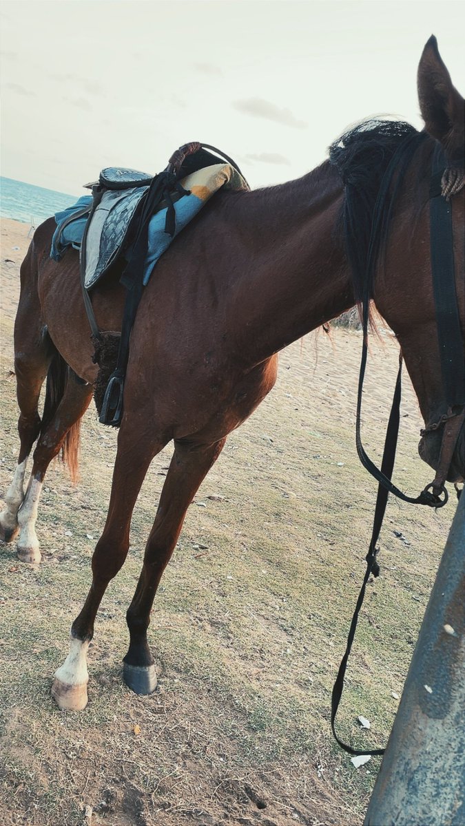 7unrulykarim's tweet image. random dump 🖕🏽#bully