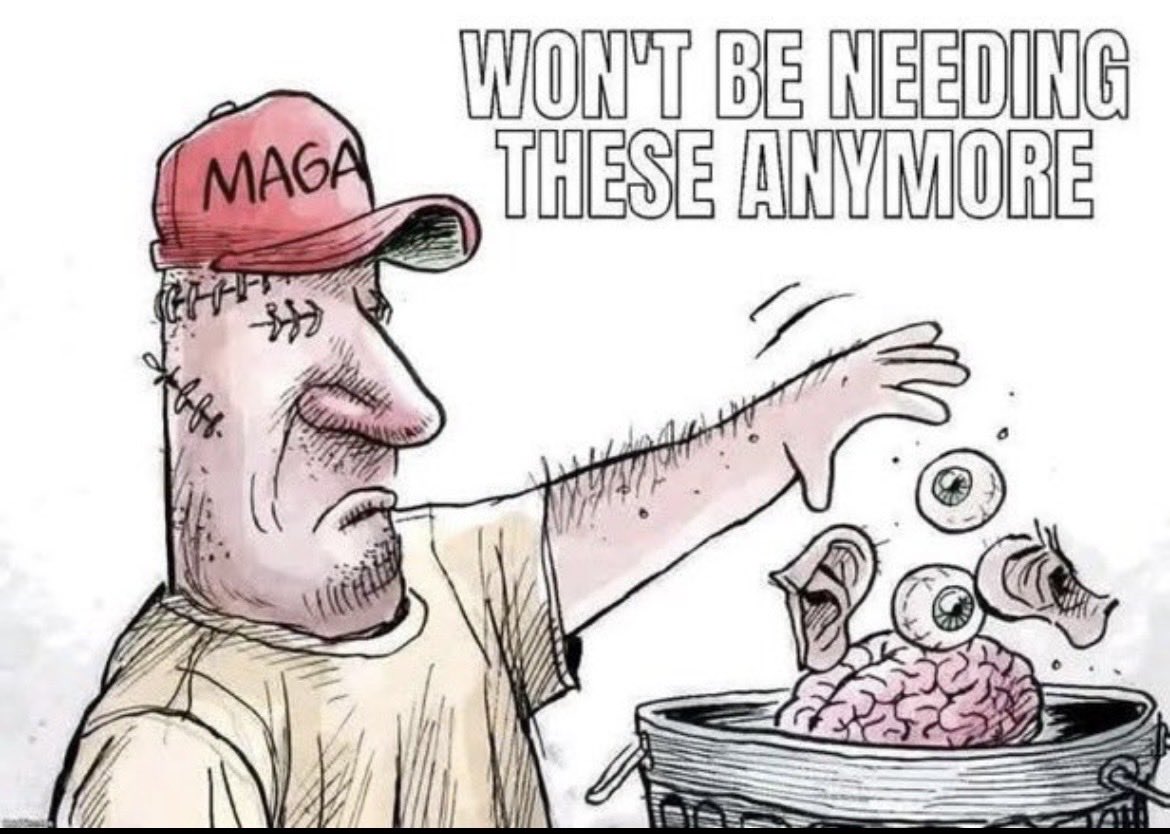 Trish 🐾 tweet media