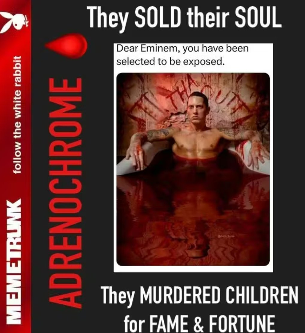 Pim & Ellen tweet media