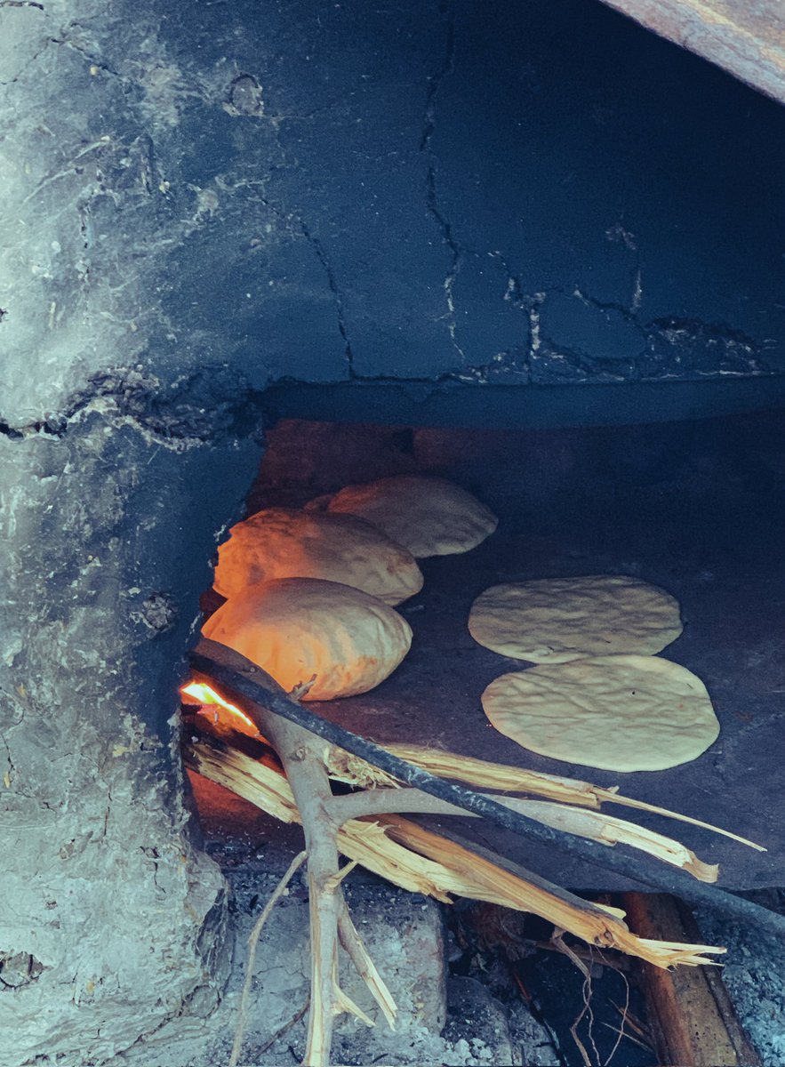 جهاد 𓃴 tweet media